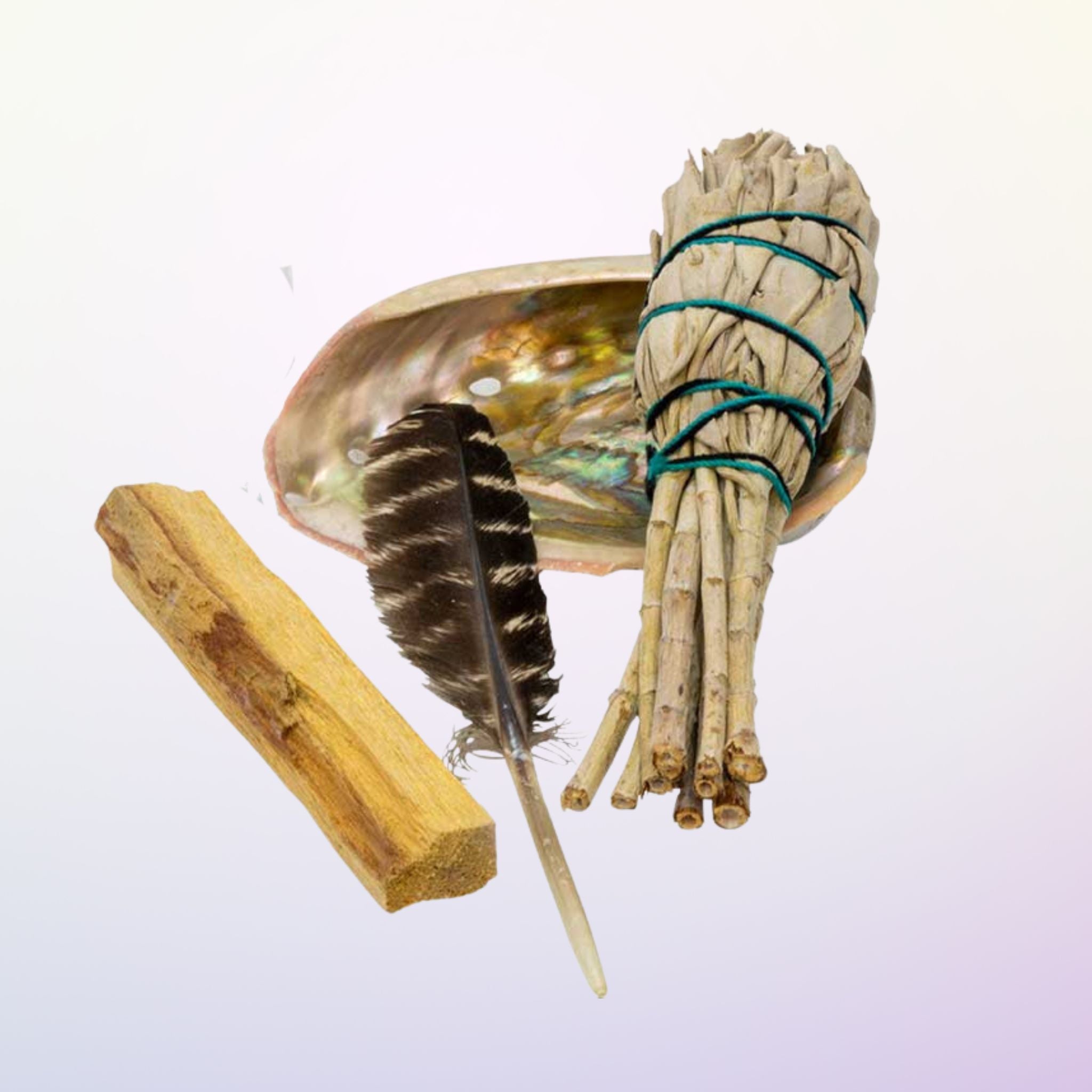 Ensemble Fumigation Pour Débutants