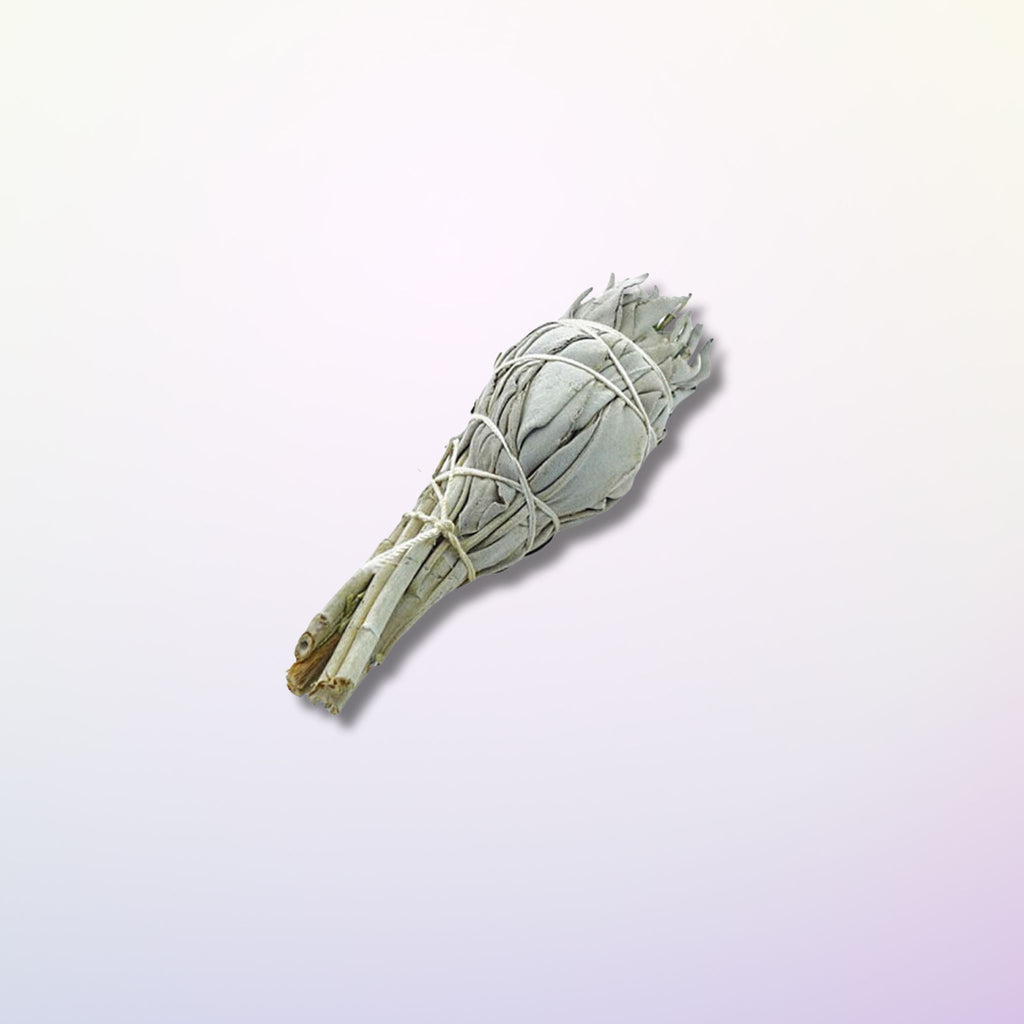 Sauge Blanche de Californie