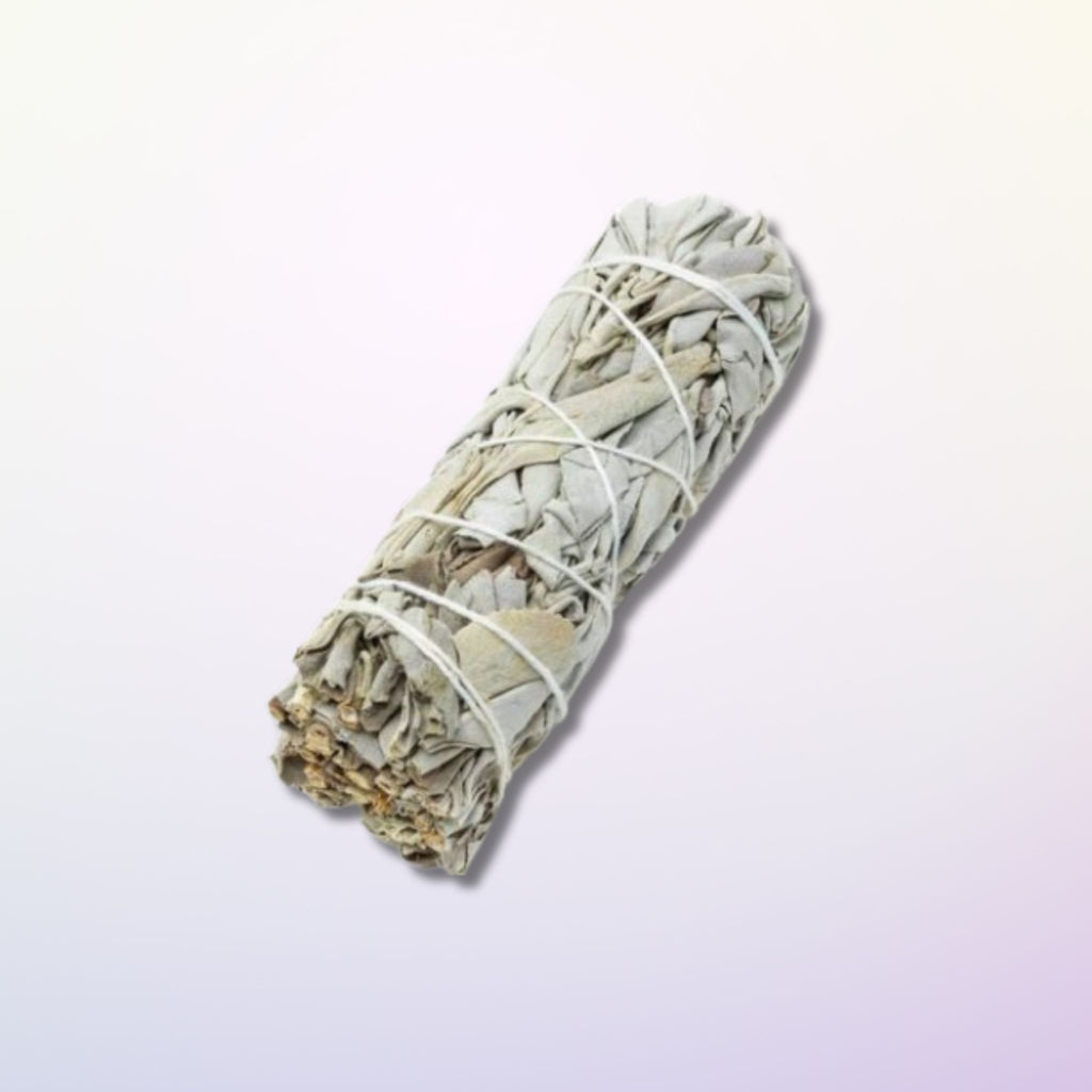 Sauge Blanche de Californie