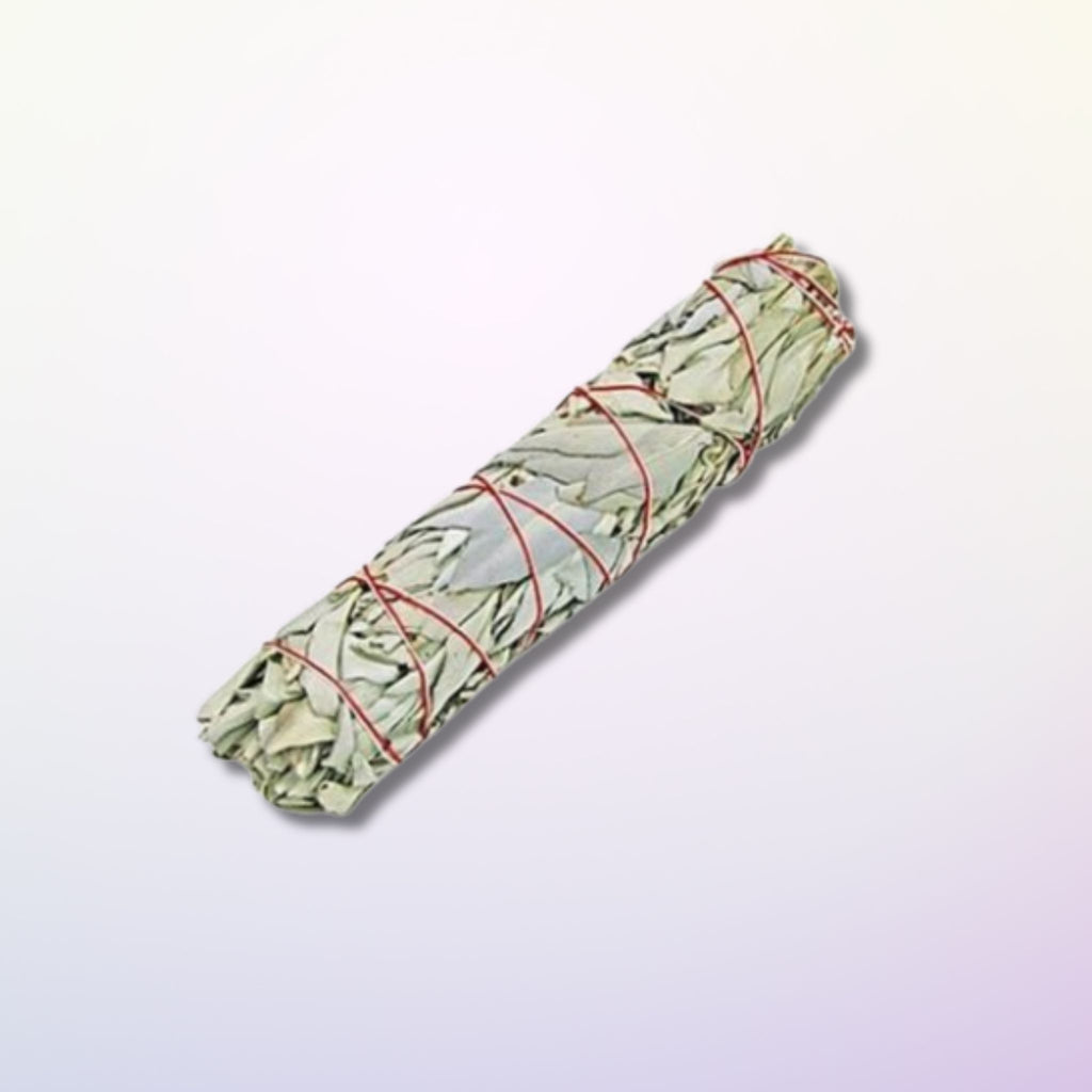 Sauge Blanche de Californie