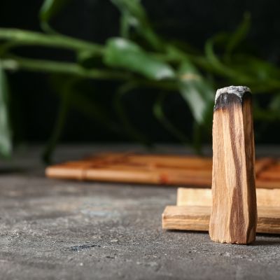Bâtons de Palo Santo (6 bâtons)