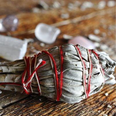 Sauge Blanche de Californie