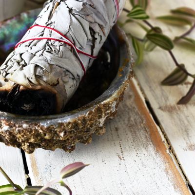 Sauge Blanche de Californie